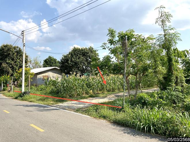 picture HOME for sale  Takhop Pak Thong Chai Nakhon Ratchasima - 5/16