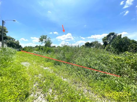 picture LAND for sale  Sai Ma Muang Nonthaburi Nonthaburi - 11/14