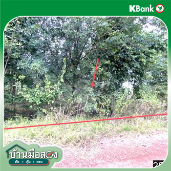 รูป ที่ดินว่างเปล่า สำหรับขาย - ขอนยูง กุดจับ อุดรธานี - รูปที่ 22/24