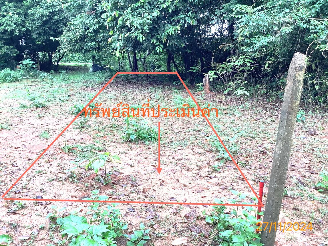 รูป ที่ดินว่างเปล่า สำหรับขาย - ทับเที่ยง เมืองตรัง ตรัง - รูปที่ 12/18