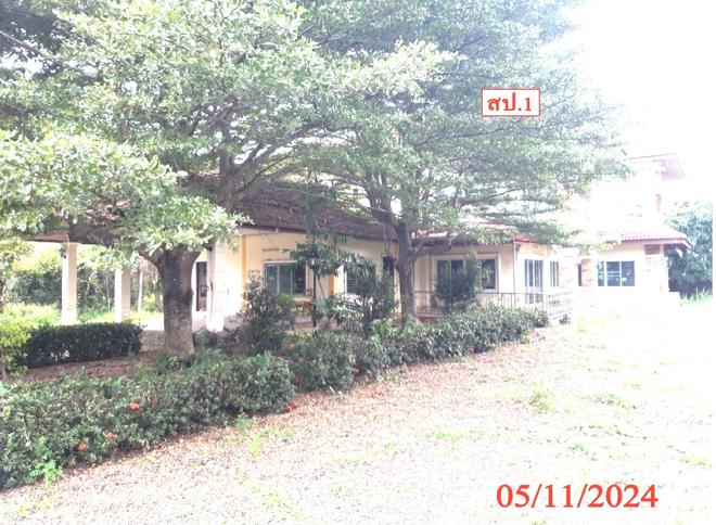 รูป บ้านเดี่ยว สำหรับขาย - สันกลาง สันป่าตอง เชียงใหม่ - รูปที่ 1/50