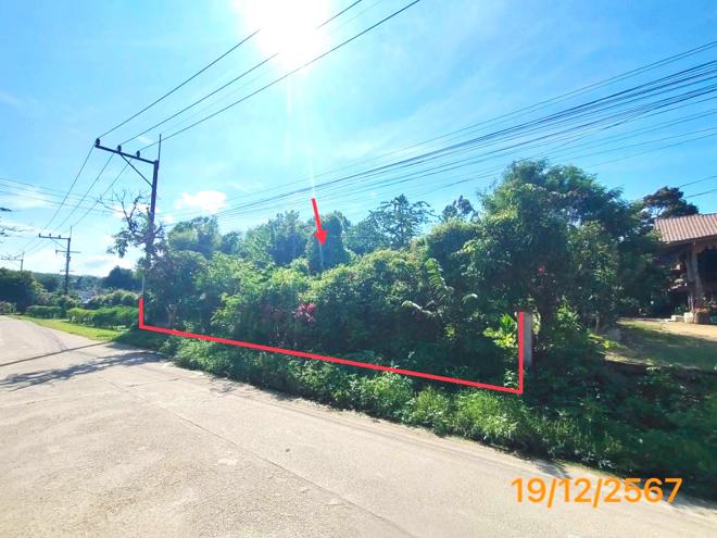 รูป บ้านเดี่ยว สำหรับขาย - คลองเขม้า เหนือคลอง กระบี่ - รูปที่ 9/22