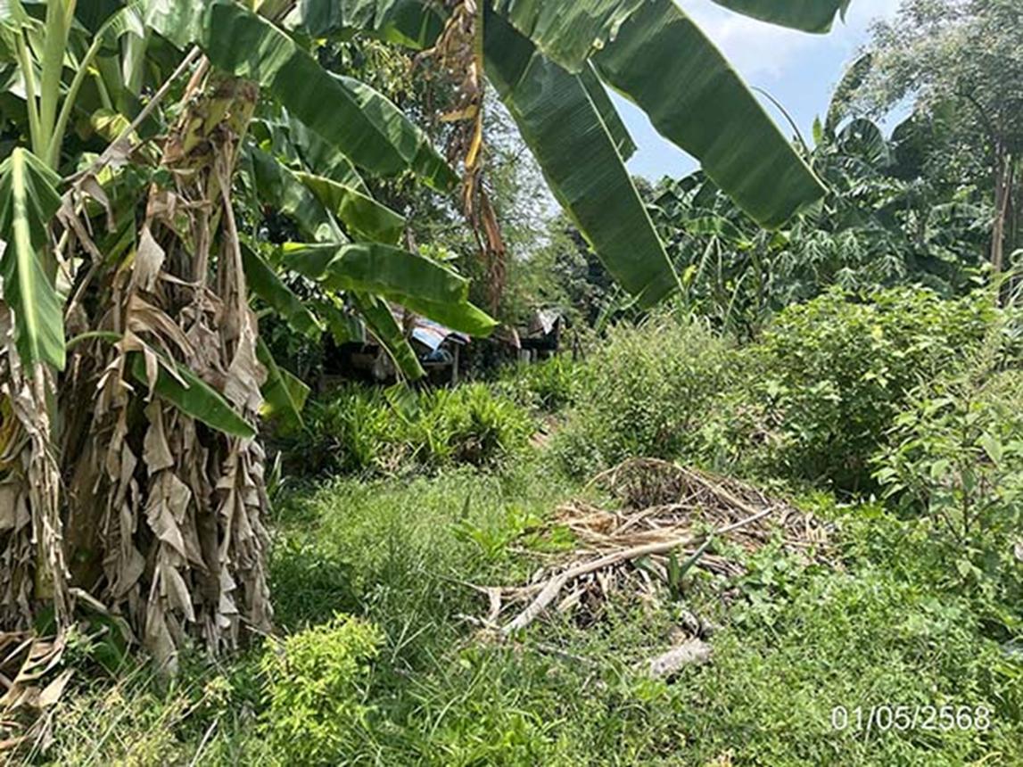 picture LAND for sale  Sa Kaeo Muang Sa Kaeo Srakaeo - 17/24