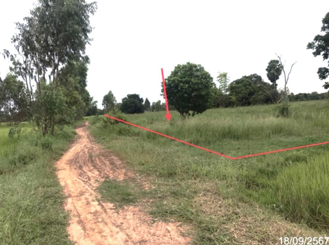 picture LAND for sale  Yo Kham Khuan Kaeo Yasothon - 10/20