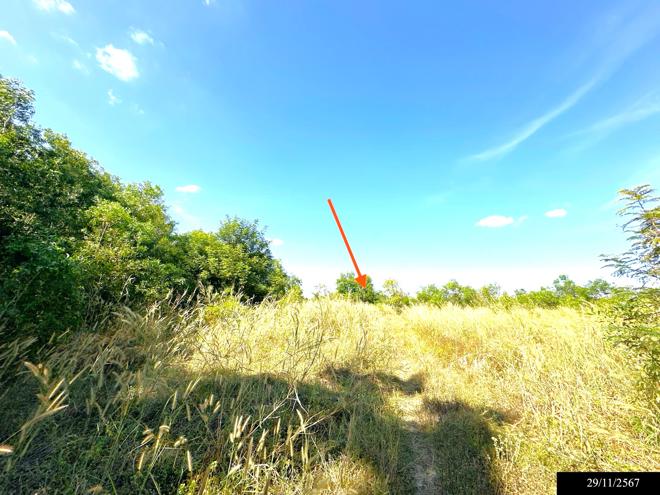 picture LAND for sale  Dong Khan Yai Kham Khuan Kaeo Yasothon - 7/24