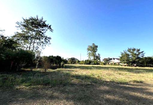 picture LAND for sale  Rim Tai Mae Rim Chiang Mai - 5/8