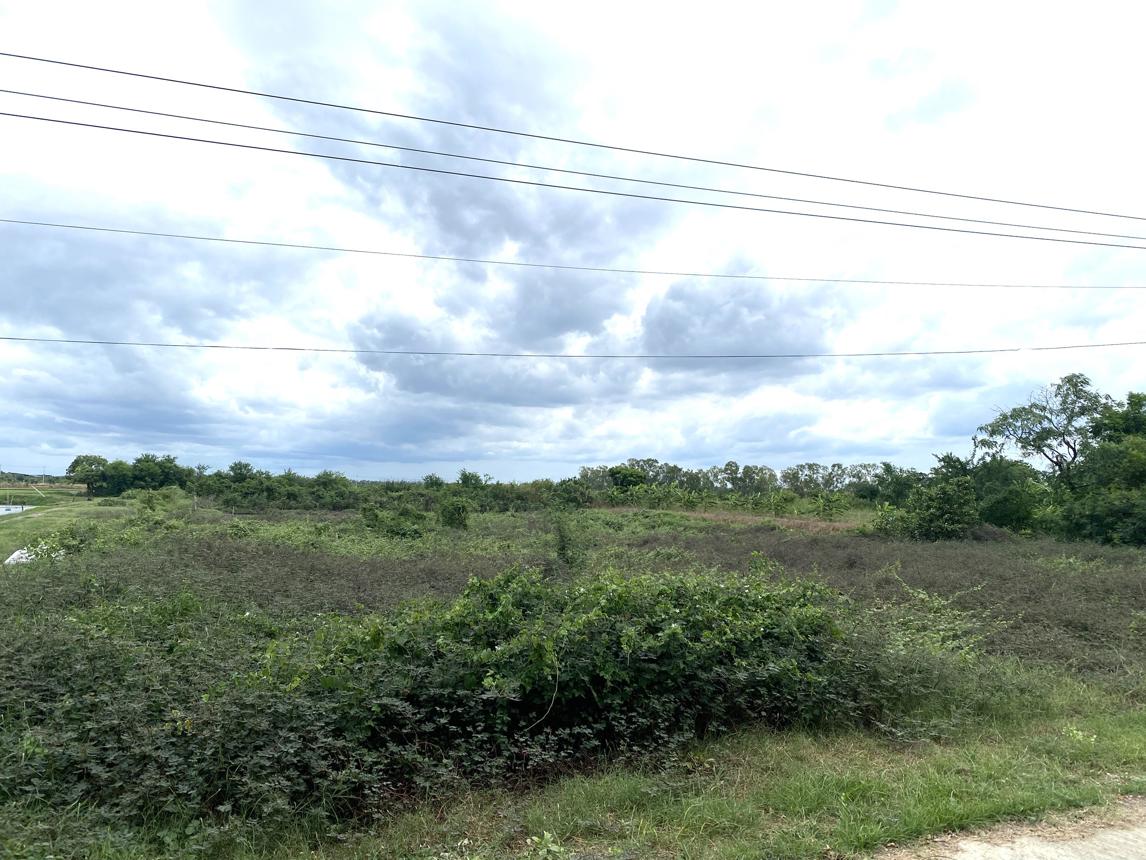 picture LAND for sale  Thanon Khat Muang Nakhon Pathom Nakhon Pathom - 4/10