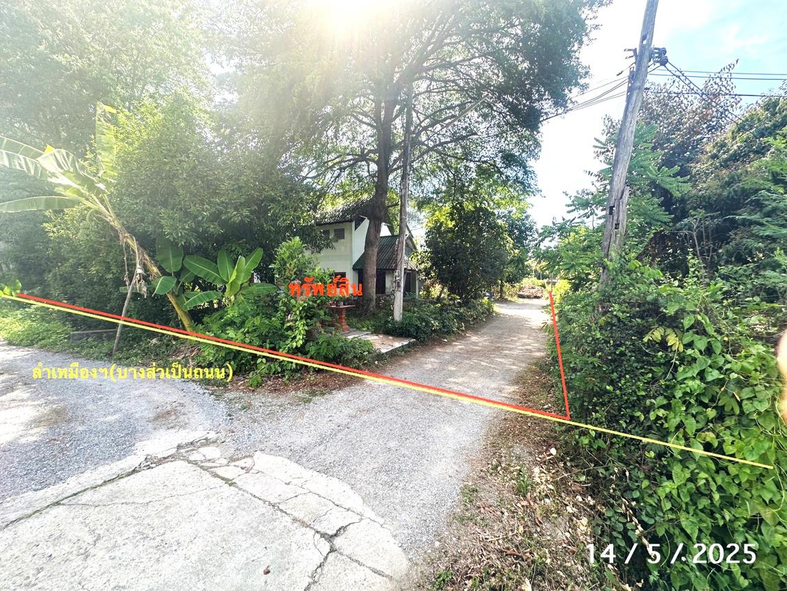 รูป บ้านเดี่ยว สำหรับขาย - สารภี สารภี เชียงใหม่ - รูปที่ 20/24