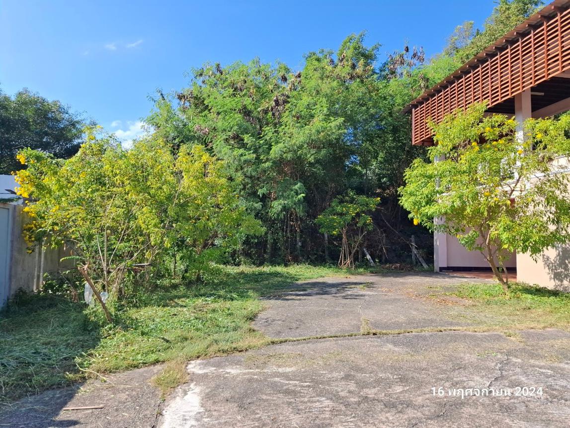 รูป บ้านเดี่ยว สำหรับขาย - บ้านต๋อม เมืองพะเยา พะเยา - รูปที่ 41/46