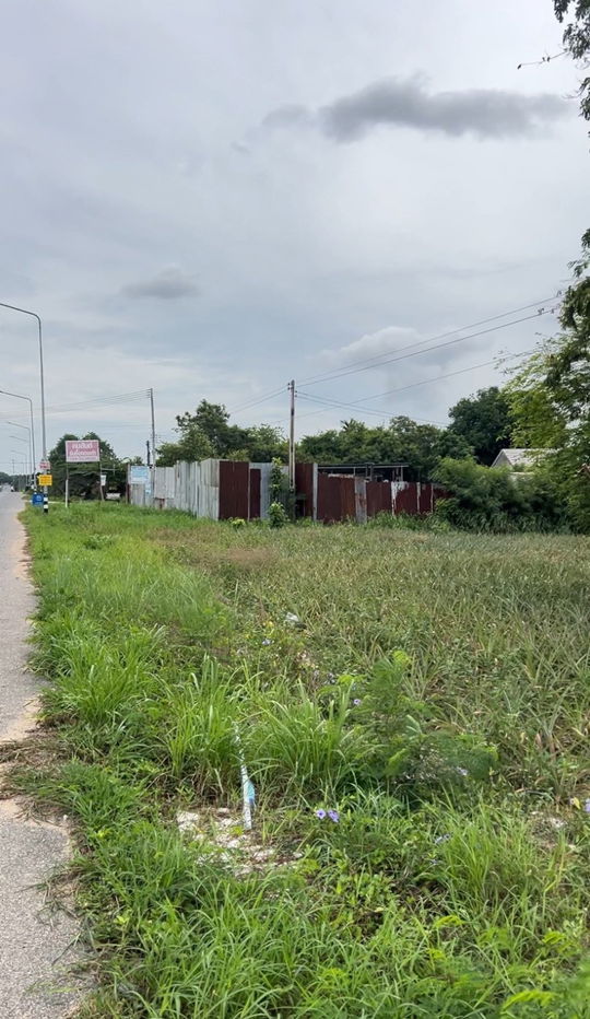 picture Land for Rent : 14 Rai in Rayong, located on Nikom Phatthana Road, Soi 13/5, Map Kha Subdistrict, Nikom Phatthana District - 4/11
