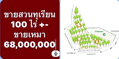 ที่ดิน ขลุง จันทบุรี : ขายสวนทุเรียน 100 ไร่พร้อมสิ่งก่อสร้าง จันทบุรี