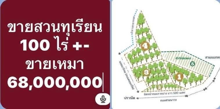 รูป ขายสวนทุเรียน 100 ไร่พร้อมสิ่งก่อสร้าง จันทบุรี - รูปที่ 1/19