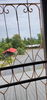 listing thumbnail image 21