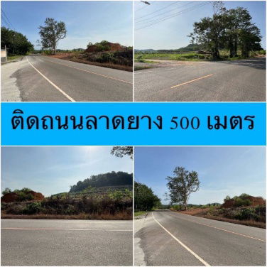 รูป ขายสวนทุเรียน 100 ไร่พร้อมสิ่งก่อสร้าง จันทบุรี - รูปที่ 2/19