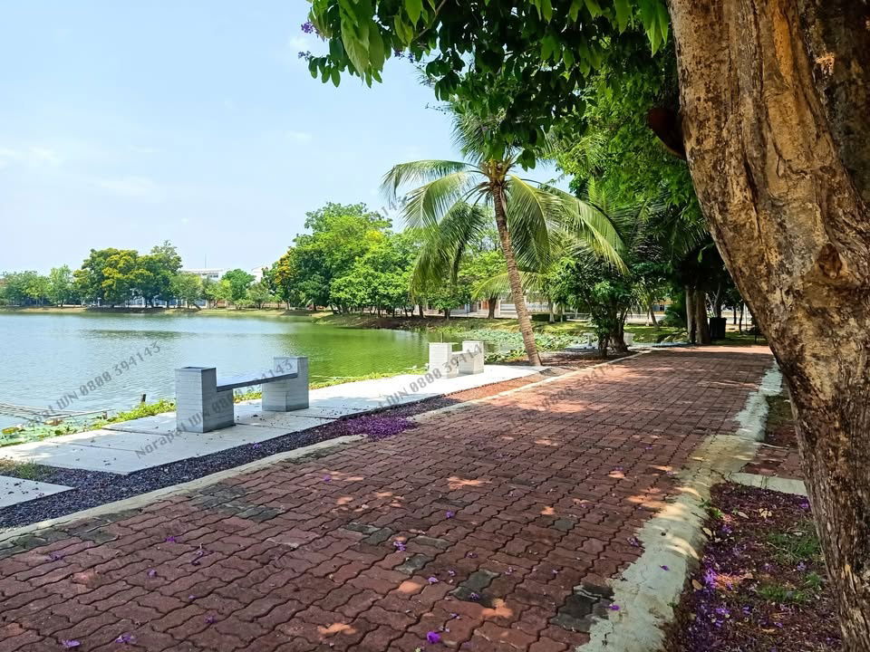 รูป บ้าน ชลลดา บางบัวทอง 80 ตร.ว. ใกล้ทะเลสาป ( 4 ห้องนอน 3 ห้องน้ำ หันทิศใต้ ) - รูปที่ 19/29