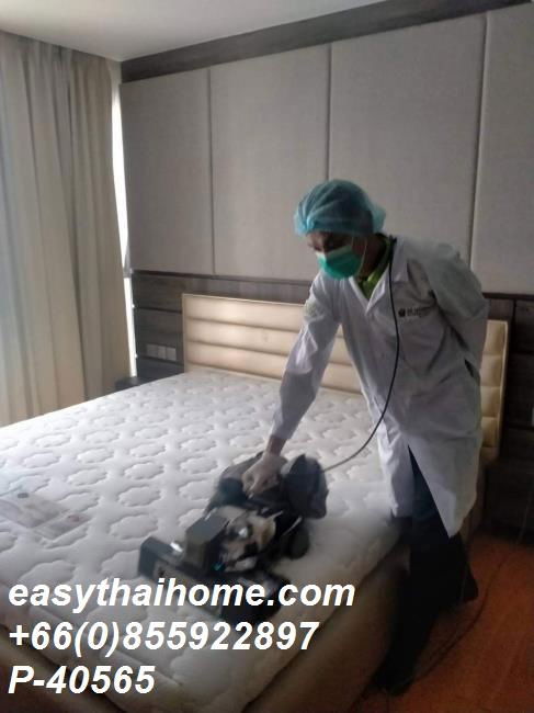 picture P-40565 Condo for rent Via Botani fully furnished (Confirm again when visit).  - 18/29