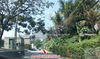 listing thumbnail image 45