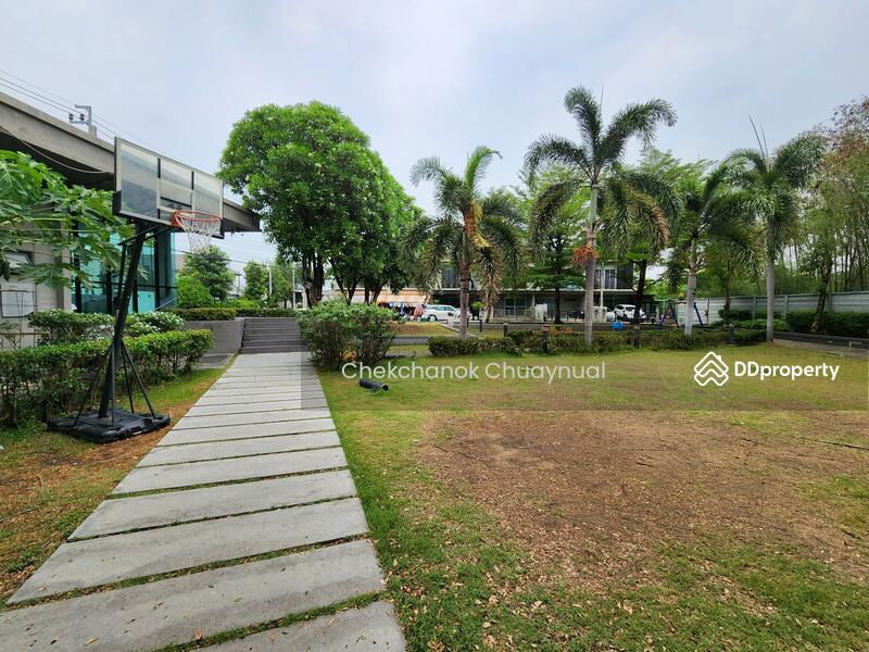 รูป ให้เช่า ทาวน์โฮมแปลงริม บางใหญ่ พฤกษาไลท์ล็อก 30ตรวา.ใกล้สวน 3นอน2น้ำ 12,000/เดือน - รูปที่ 38/49