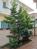 listing thumbnail image 33