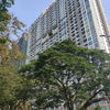 listing thumbnail image 12