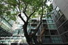 listing thumbnail image 26