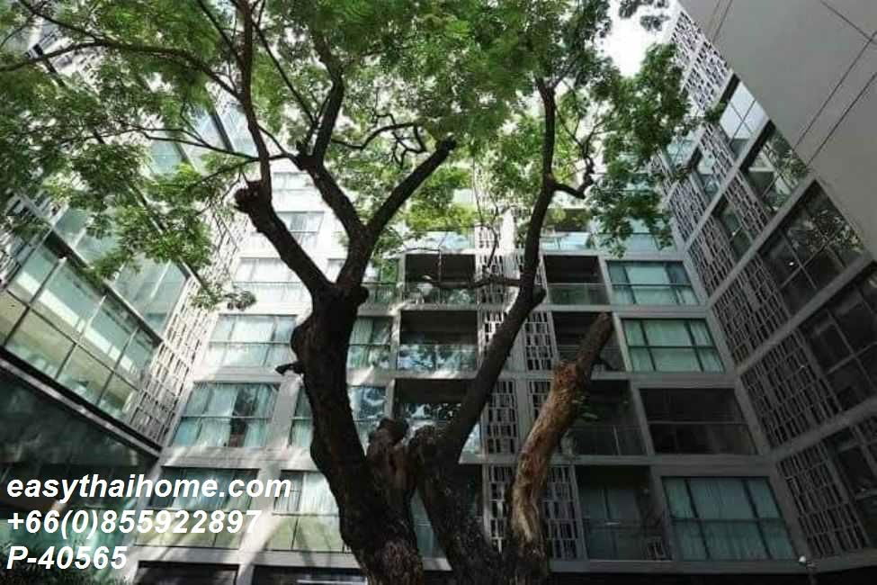 picture P-40565 Condo for rent Via Botani fully furnished (Confirm again when visit).  - 27/29