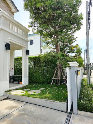 picture FOR RENT ANYA BANGNA - RAMKHAMHAENG 2 / 2 bedrooms 3 bathrooms / 39 Sqw. 145 Sqm. **53,000** CLOSE TO RAMKHAMHAENG 2 UNIVERSITY - 15/15