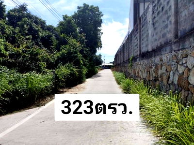 ที่ดิน บางละมุง ชลบุรี : ขายที่ดินทำเลดี ซอยชัยพฤกษ์ 2/1 พัทยา