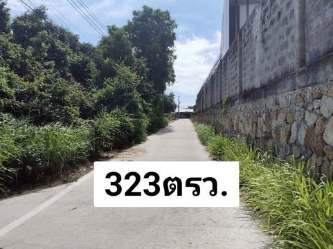 ขายที่ดินทำเลดี ซอยชัยพฤกษ์ 2/1 พัทยา