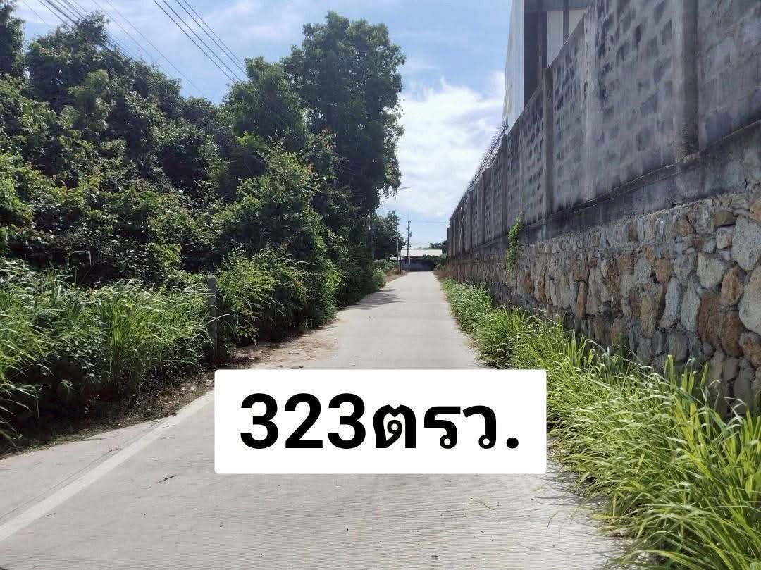 รูป ขายที่ดินทำเลดี ซอยชัยพฤกษ์ 2/1 พัทยา - รูปที่ 1/8
