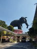 listing thumbnail image 9