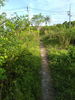 listing thumbnail image 9