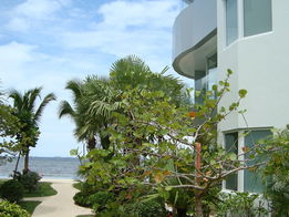 Project Ocean's Edge Picture - 5/19