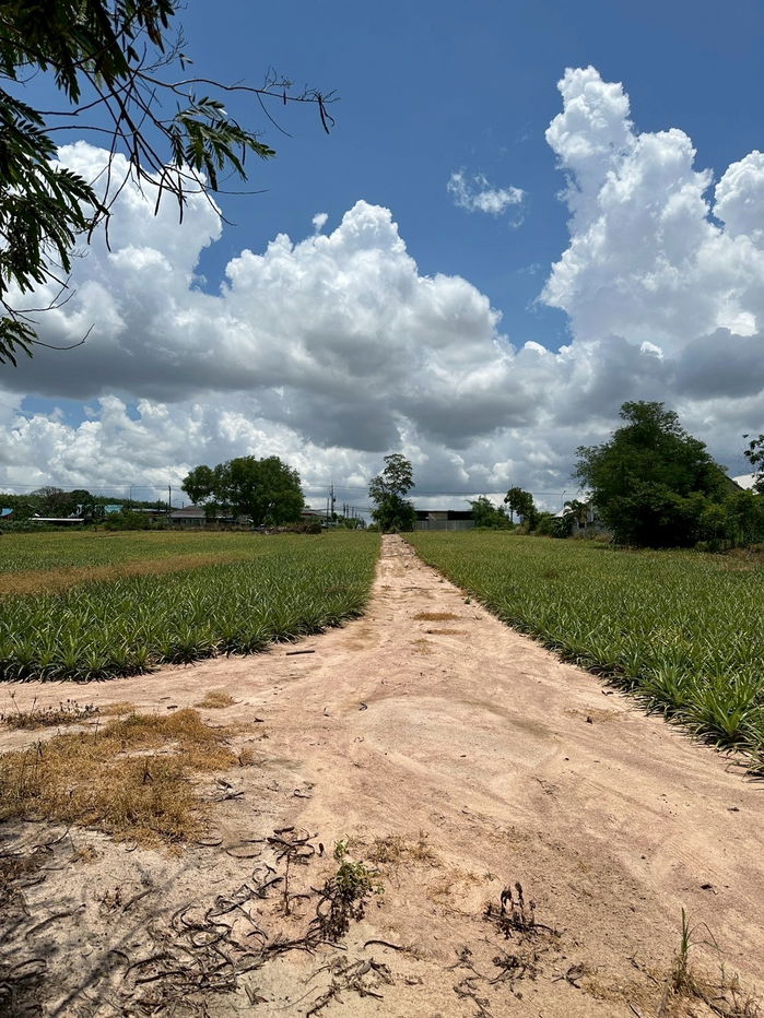 picture Land for Sale: 14 Rai in Rayong, located on Nikom Phatthana Road, Soi 13/5, Map Kha Subdistrict, Nikom Phatthana District - 2/11