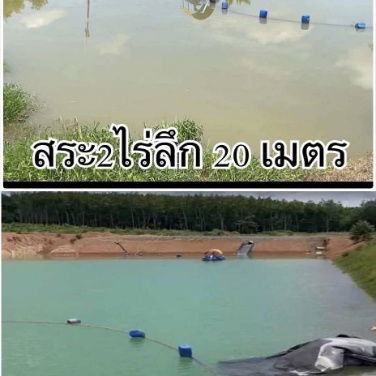 รูป ขายสวนทุเรียน 100 ไร่พร้อมสิ่งก่อสร้าง จันทบุรี - รูปที่ 3/19