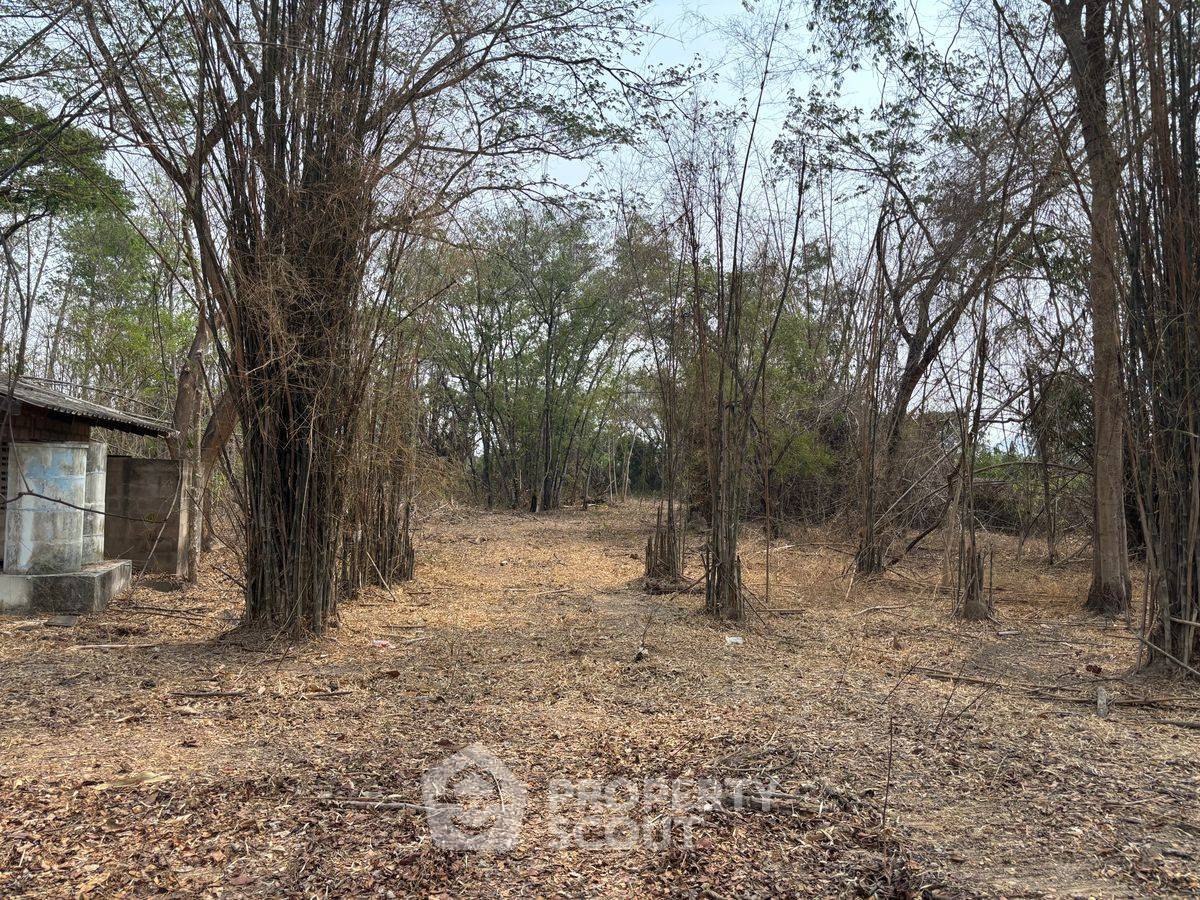 รูป ที่ดินสำหรับปล่อยขาย 50,400 ตารางเมตร แถว ใน ทับคาง (ID 2260682) - รูปที่ 2/3