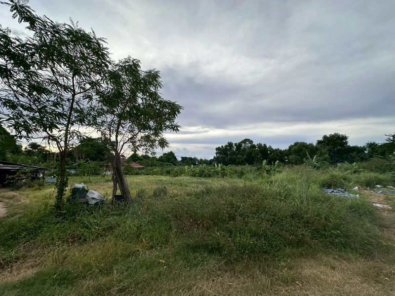 picture Land for sale in Bang Lamung, beautiful plot, Rong Po District, near Sri Suwit School. - 4/6