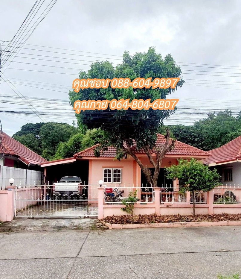 รูป ขายบ้านเดี่ยว แถววัดหนองตะลุมปุ๊ก หมู่บ้านไอซ์แลนด์3 ห้องนอน3 ห้องน้ำ1 - รูปที่ 1/11