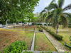 listing thumbnail image 41