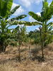 listing thumbnail image 18