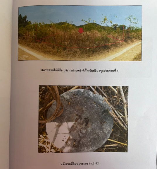 รูป ขายด่วน! เจ้าของขายเอง ที่ดินบนเกาะพีพี กระบี่ - รูปที่ 6/12