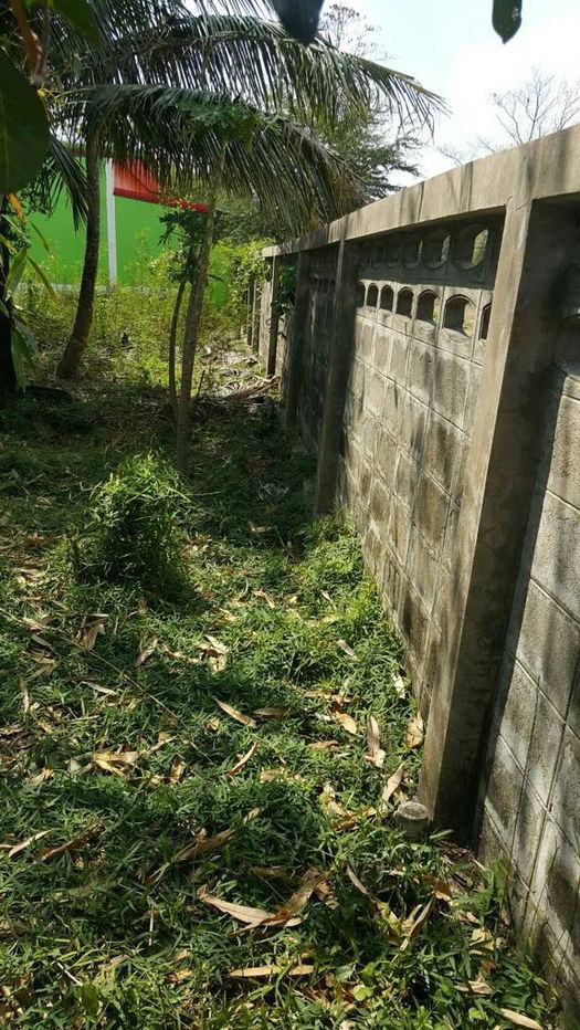 รูป ที่ดินอำเภอเมืองบุรีรัมย์ ใกล้สนามช้าง ใกล้แหล่งท่องเที่ยว - รูปที่ 4/8