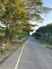 listing thumbnail image 16