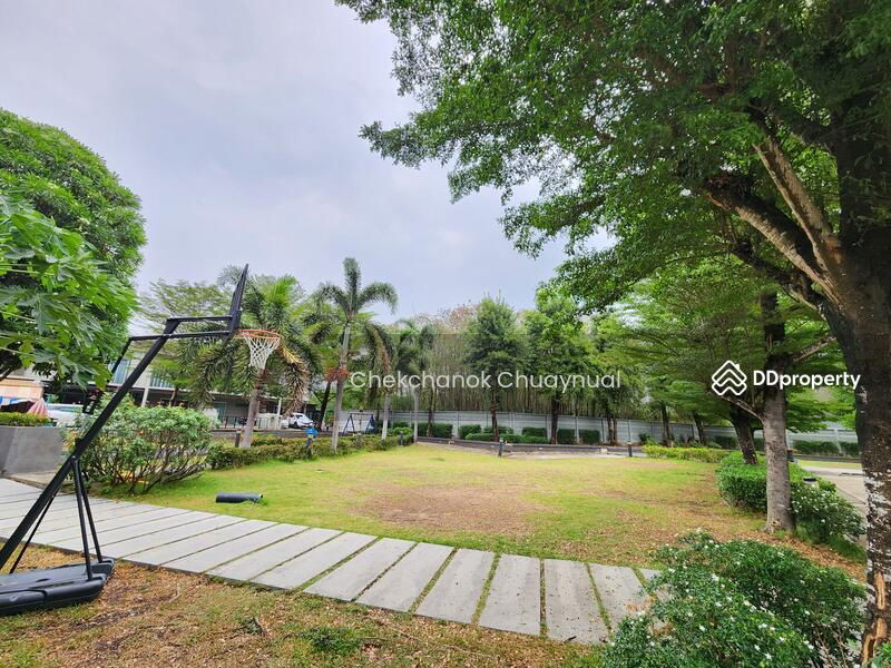 รูป ให้เช่า ทาวน์โฮมแปลงริม บางใหญ่ พฤกษาไลท์ล็อก 30ตรวา.ใกล้สวน 3นอน2น้ำ 12,000/เดือน - รูปที่ 39/49