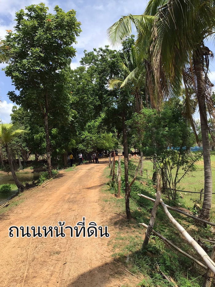 รูป ขายที่ดิน 139 ไร่เศษต.โคกมั่งงอย อ.คอนสวรรค์ไร่ละ 9 หมื่น โฉนด - รูปที่ 4/5