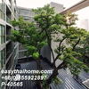 listing thumbnail image 25