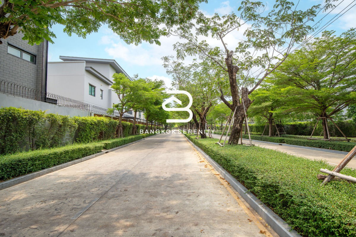 รูป ให้เช่าบ้านเดี่ยว เวนิว พระราม 9 กรุงเทพกรีฑา - รูปที่ 12/13