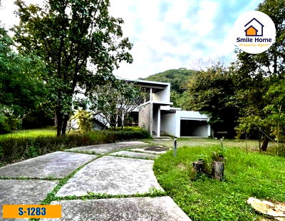 ที่ดิน ปากช่อง โคราช : ขายที่ดิน 2 ไร่ ทำเลทอง ปากช่อง ถนนธนะรัชต์ ใกล้อุทยานแห่งชาติเขาใหญ่