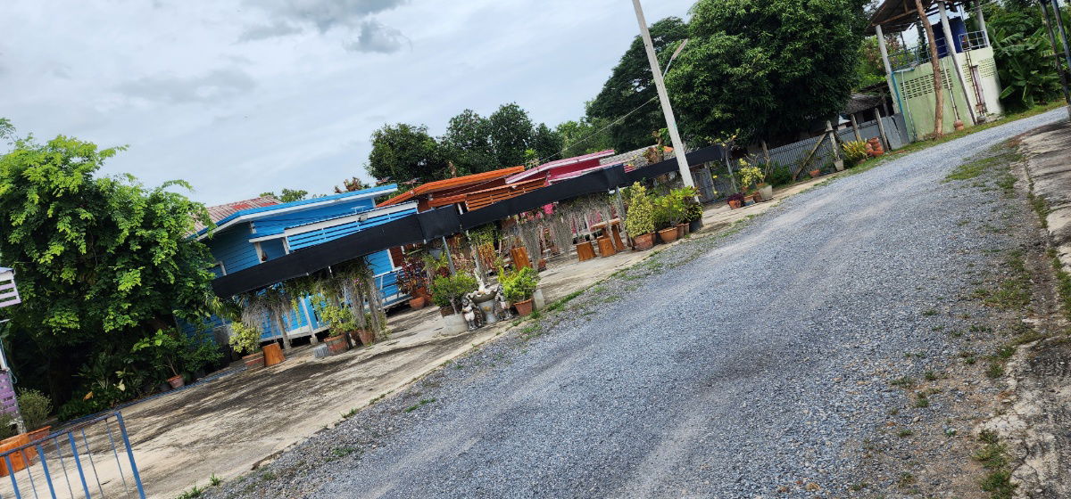 picture Tony Building Khai Bangkrachan  - 6/30