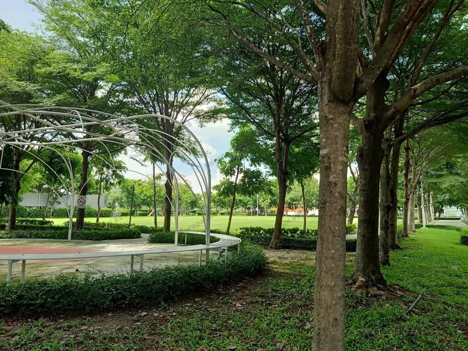 รูป บ้าน ชลลดา บางบัวทอง 80 ตร.ว. ใกล้ทะเลสาป ( 4 ห้องนอน 3 ห้องน้ำ หันทิศใต้ ) - รูปที่ 17/29